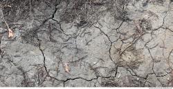 Cracked Soil